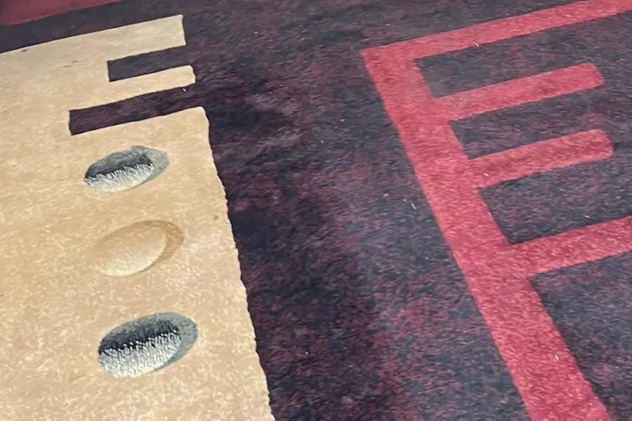 Rug before cleaning