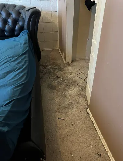 Heavily soiled carpet before professional cleaning in Calgary