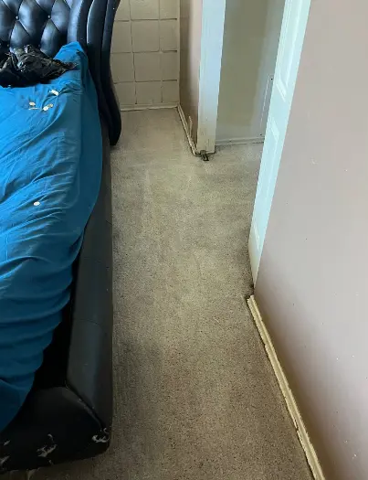 Results like this take real work — after cleaning