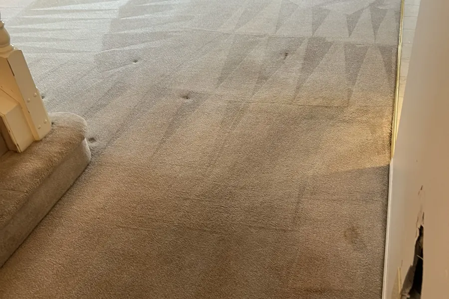 Same carpet after heavy stain removal — Calgary