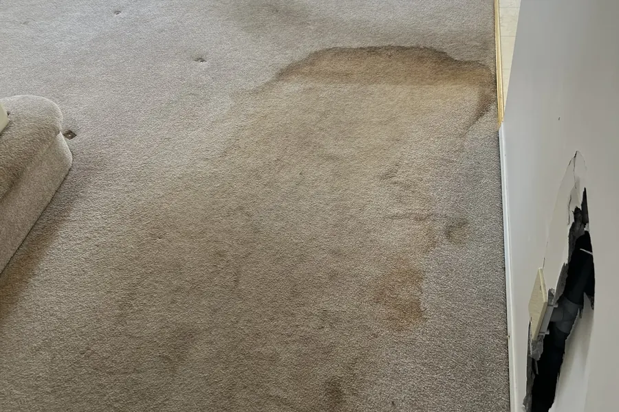Carpet with heavy stains before cleaning — Calgary