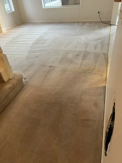 Same carpet after deep steam cleaning in Calgary