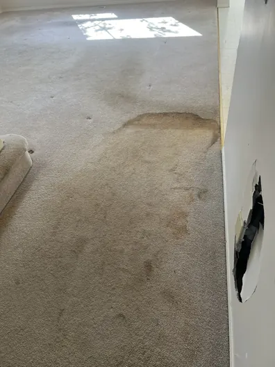 Heavily soiled carpet before professional cleaning in Calgary