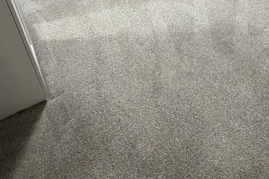 Same carpet after pet stain cleaning — Calgary