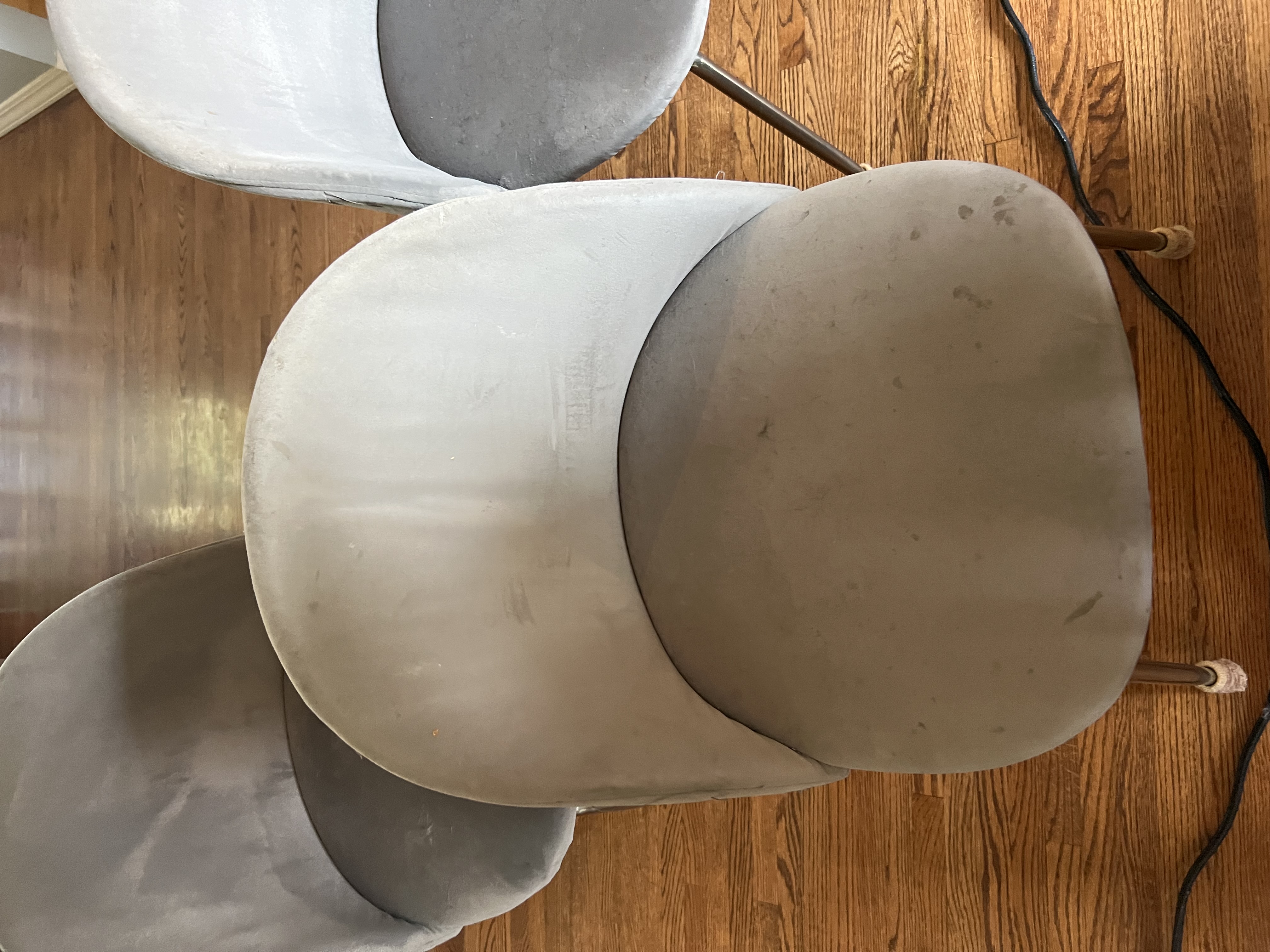 Velvet Dining Chairs – Before & After — before cleaning