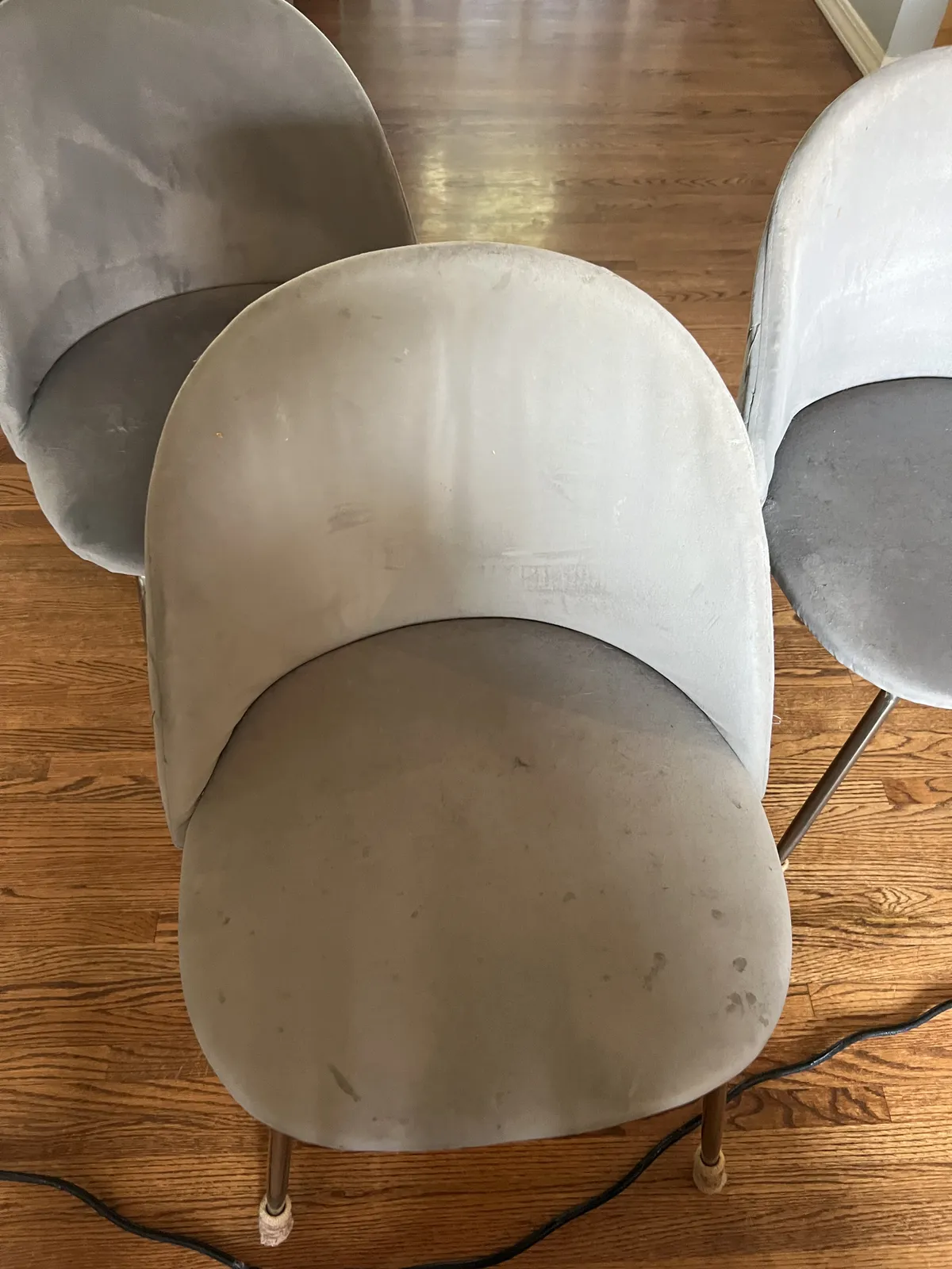 Velvet Dining Chairs – Before & After — before cleaning