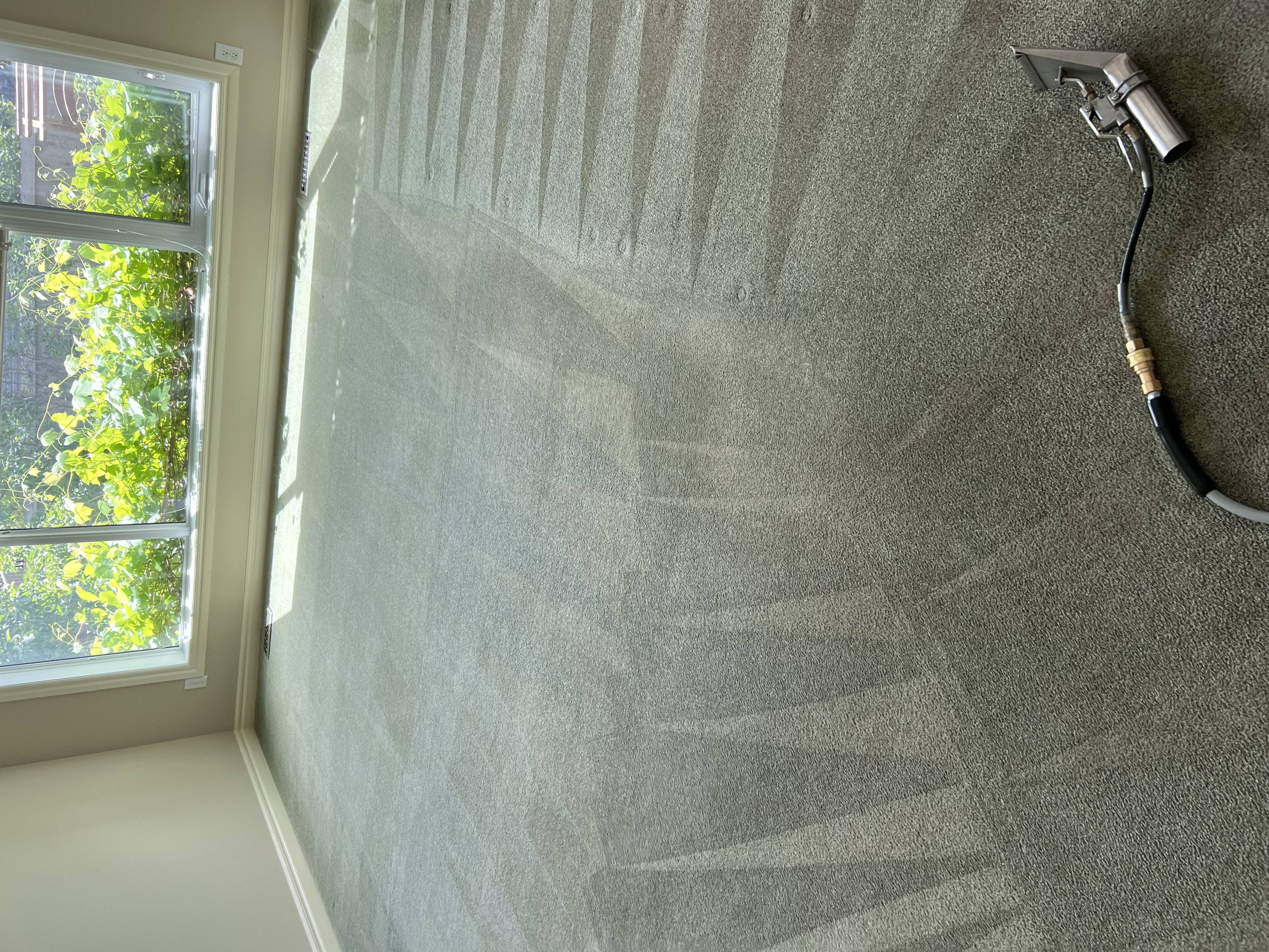 Living Room Carpet - Mid-Clean vs Finished Result — after cleaning