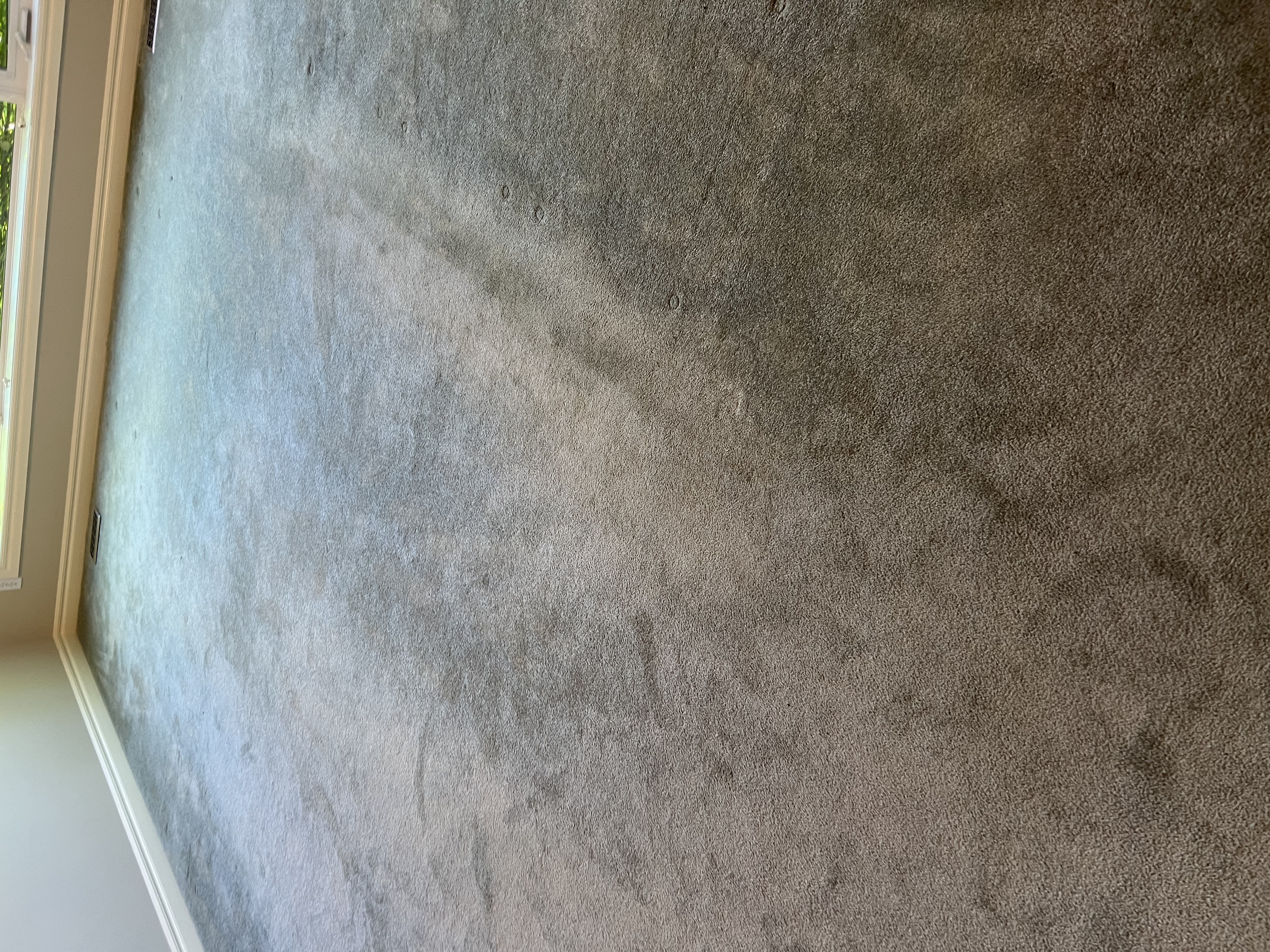 Living Room Carpet - Mid-Clean vs Finished Result — before cleaning